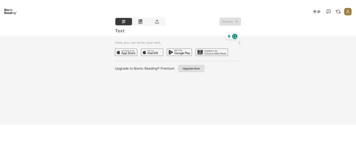 Bionic reading converter